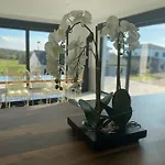 Princesse Neuve & Grand Standing ! Nyaraló *